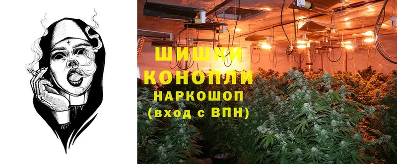 Конопля OG Kush  Гремячинск 